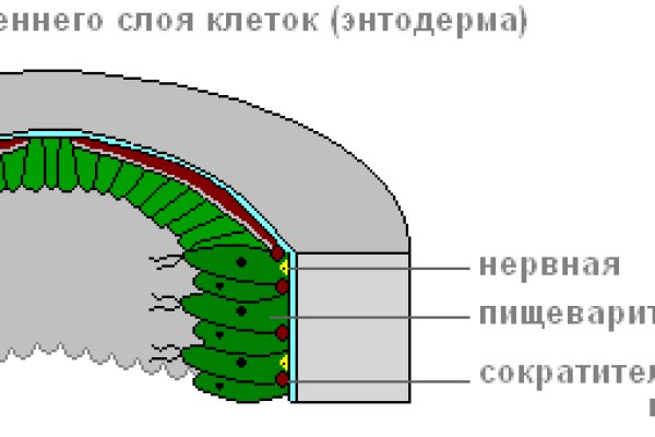 Кракен даркнет слушать