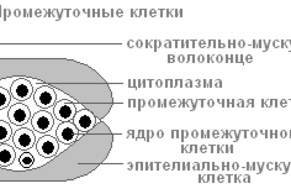 Кракен маркетплейс магазин