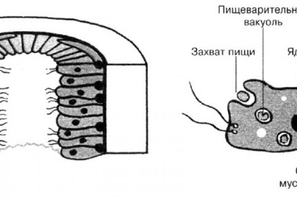 2krn cc что такое